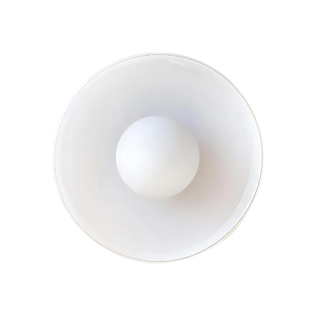 Disque Oliv Wandlamp