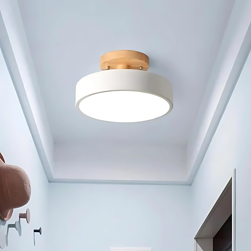 Lumineux Plafondlamp