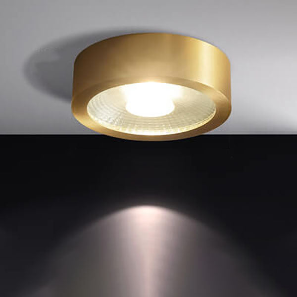 Livonio Plafondlamp