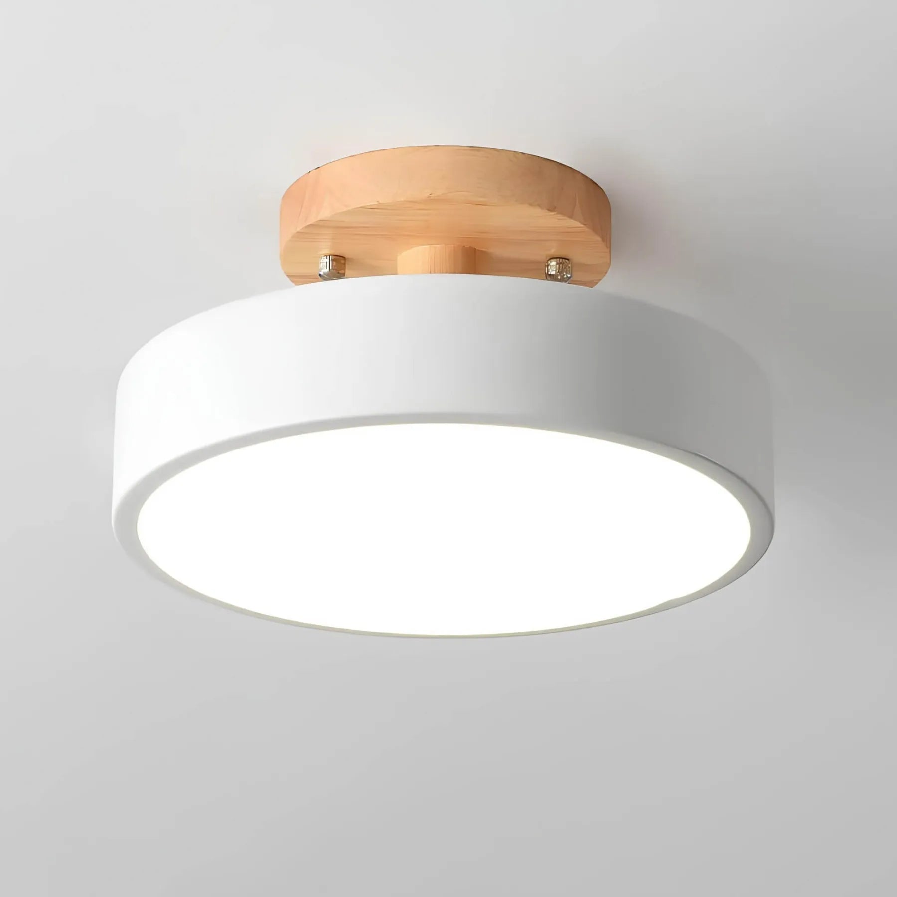 Bravino Plafondlamp