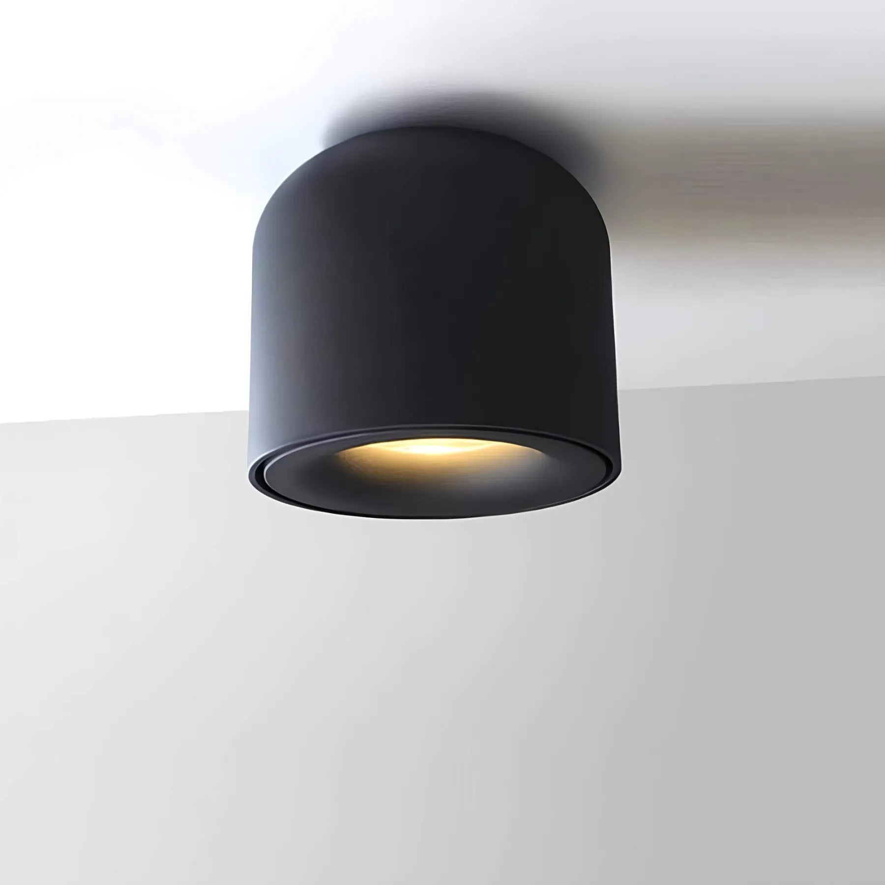 Vendario Plafondlamp